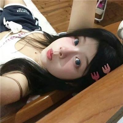 动画纪录